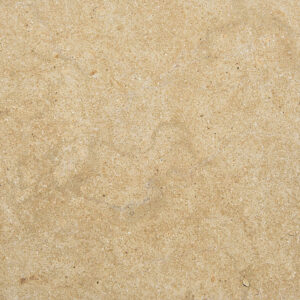 Golden Shell Stone Limestone