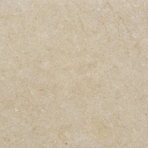 Grey Shell Stone Limestone
