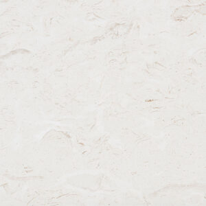 Shell Stone Limestone